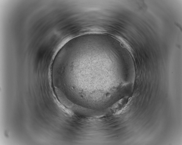 X0000096951243200802151230