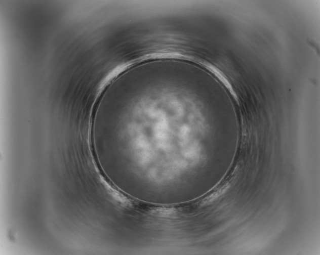 X0000096951245200802151230