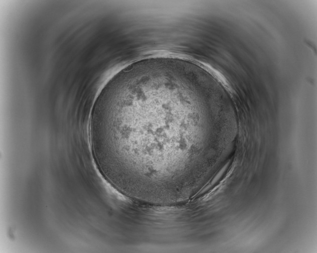 X0000096951247200802151230