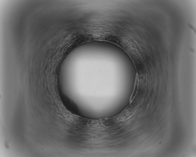 X0000096951249200802151229