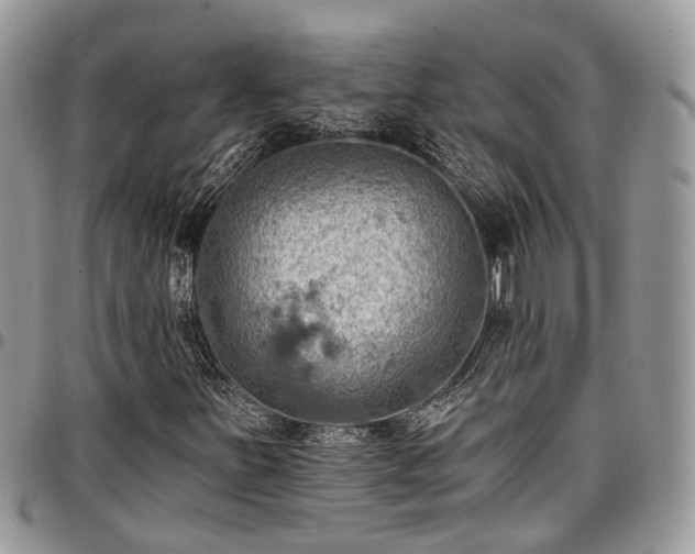 X0000096951251200802151229
