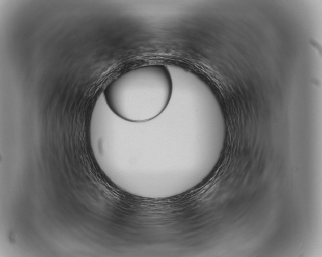 X0000096951252200802151229