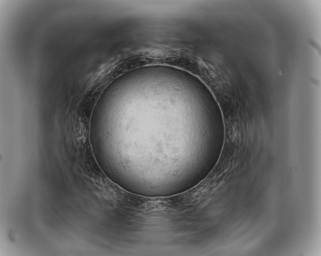 X0000096951253200802151229