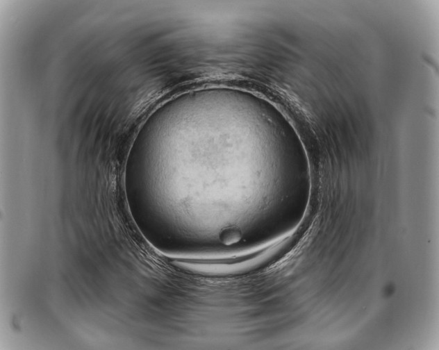 X0000096951257200802151229
