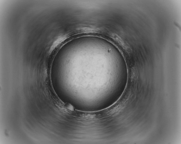 X0000096951261200802151229