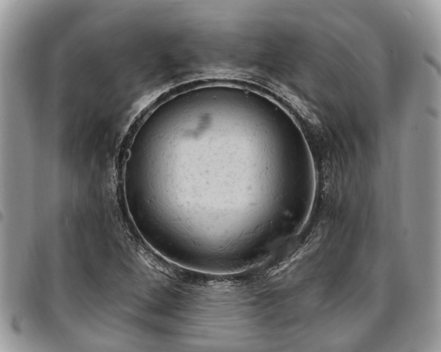 X0000096951264200802151229