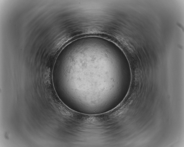 X0000096951265200802151229
