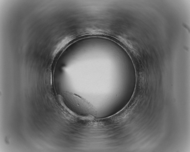 X0000096951269200802151229