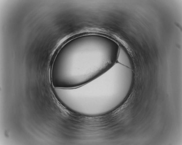 X0000096951272200802151229