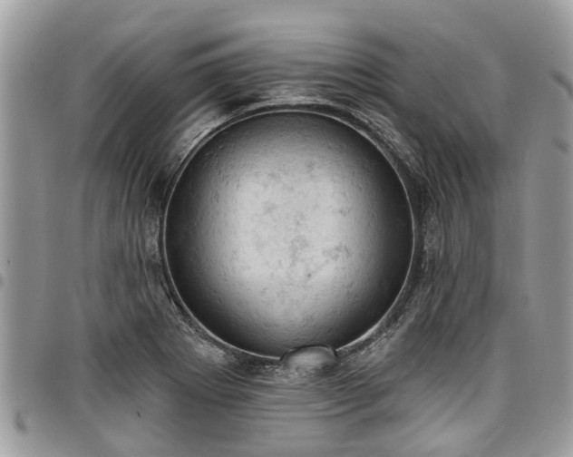 X0000096951273200802151229