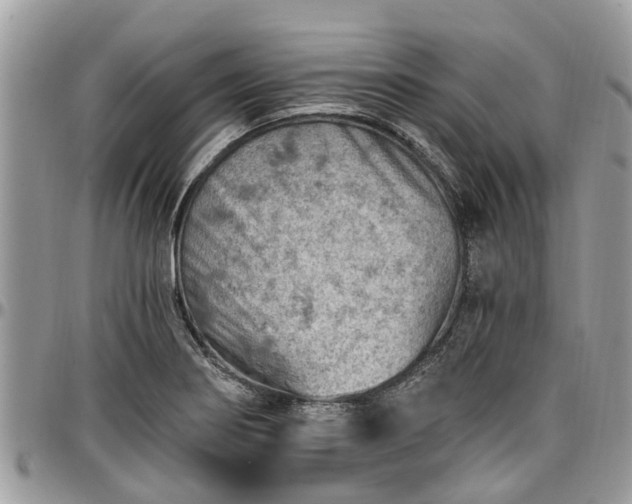 X0000096951274200802151229