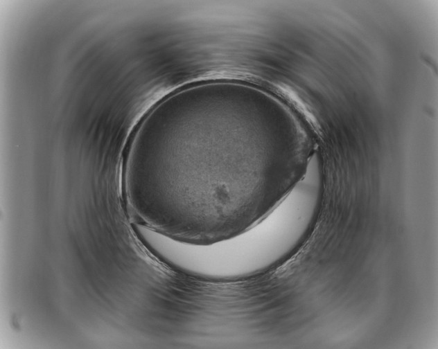 X0000096951276200802151229