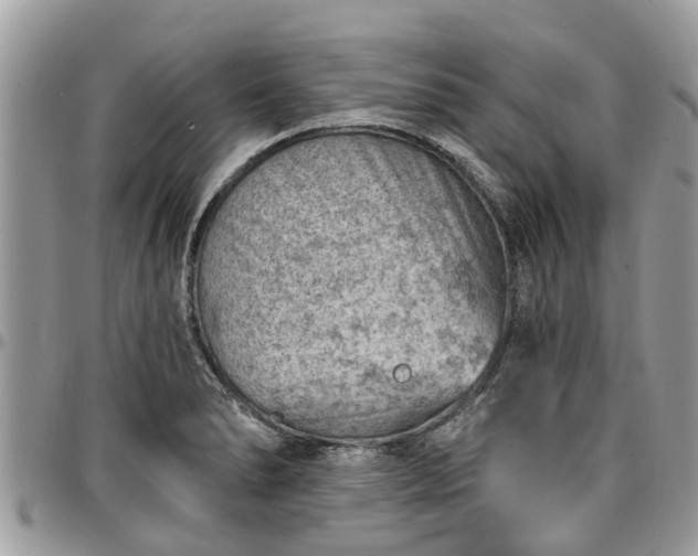 X0000096951278200802151229