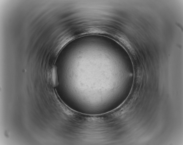 X0000096951281200802151229