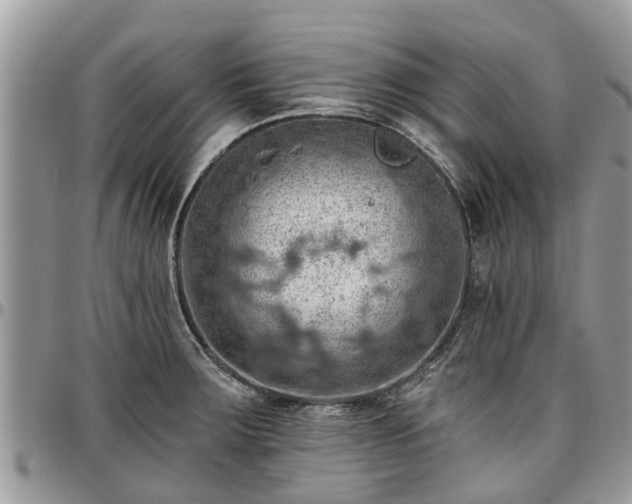 X0000096951283200802151229