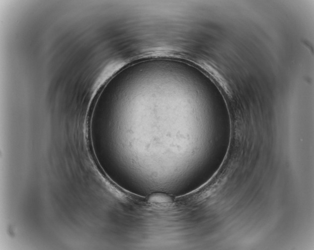X0000096951285200802151229