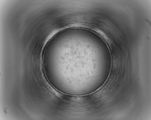 X0000096951286200802151228
