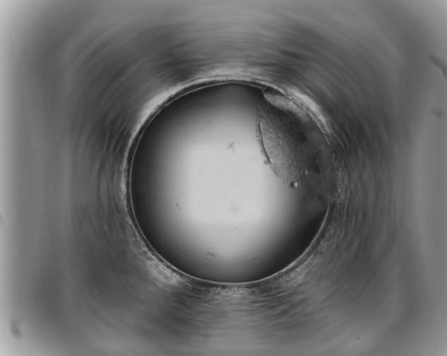 X0000096951288200802151228