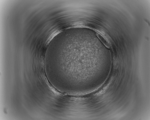 X0000096951289200802151228