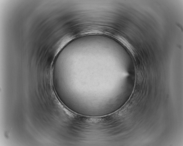 X0000096951290200802151228