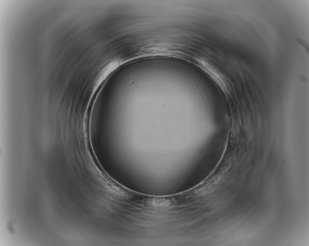 X0000096951291200802151228