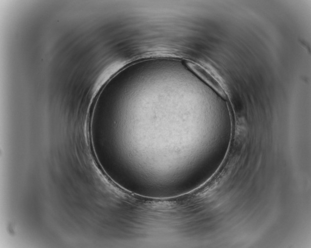 X0000096951293200802151228