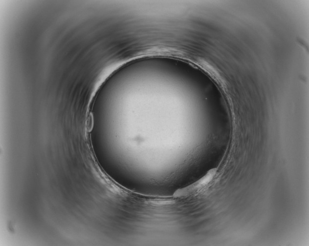 X0000096951296200802151228