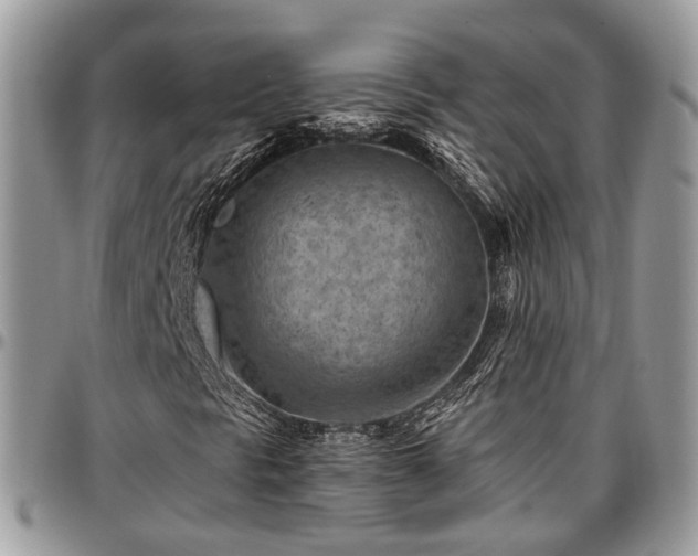X0000096951297200802151228