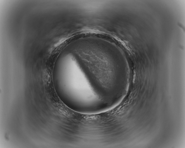 X0000096951303200802151228