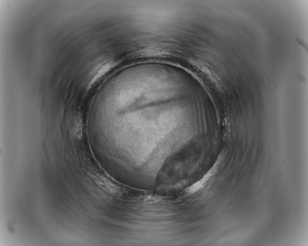 X0000096951306200802151228