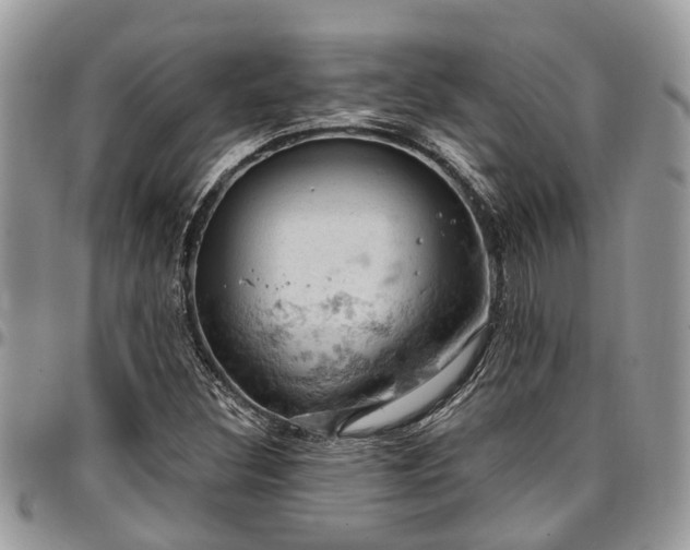 X0000096951308200802151228