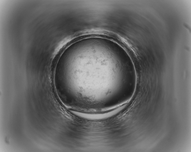 X0000096951312200802151228