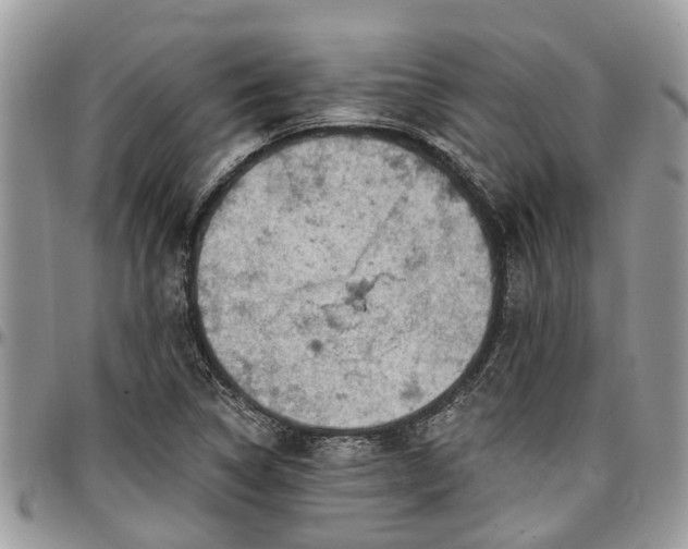 X0000096951314200802151228