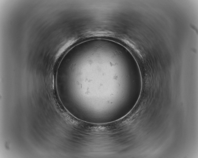 X0000096951317200802151228