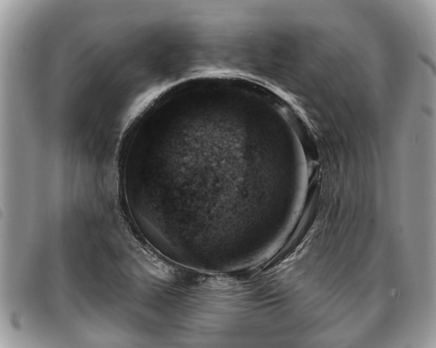 X0000096951319200802151228