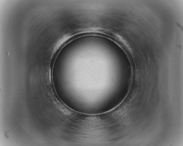 X0000096951320200802151228