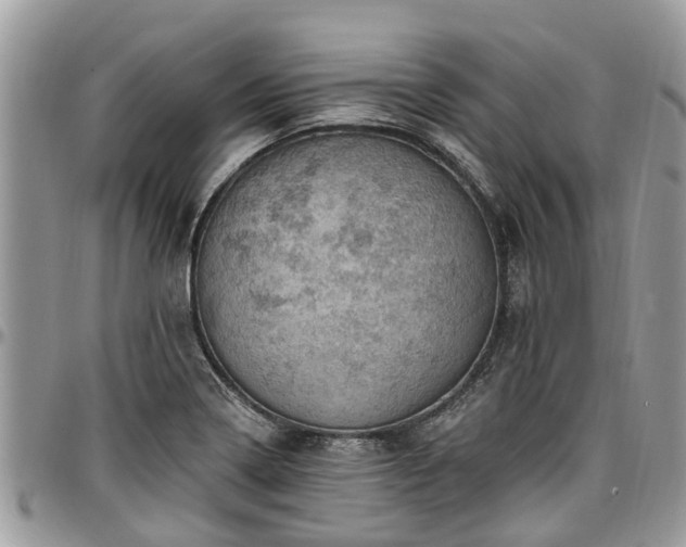 X0000096951322200802151228