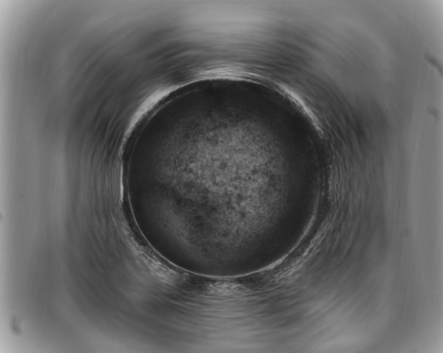 X0000096951323200802151228