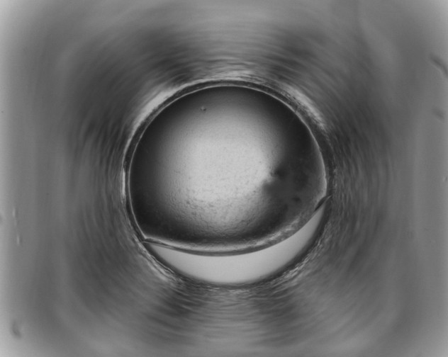 X0000096951324200802151228