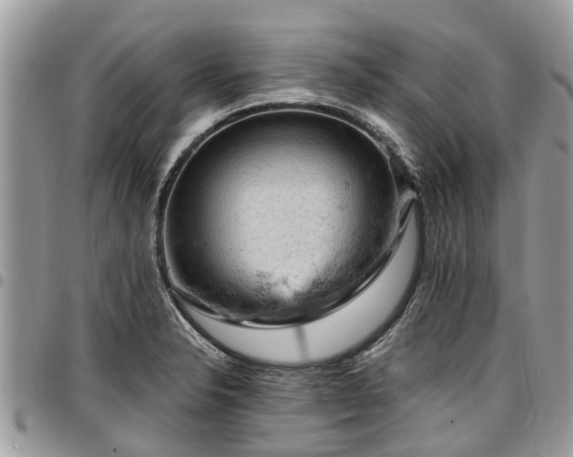 X0000096951326200802151228