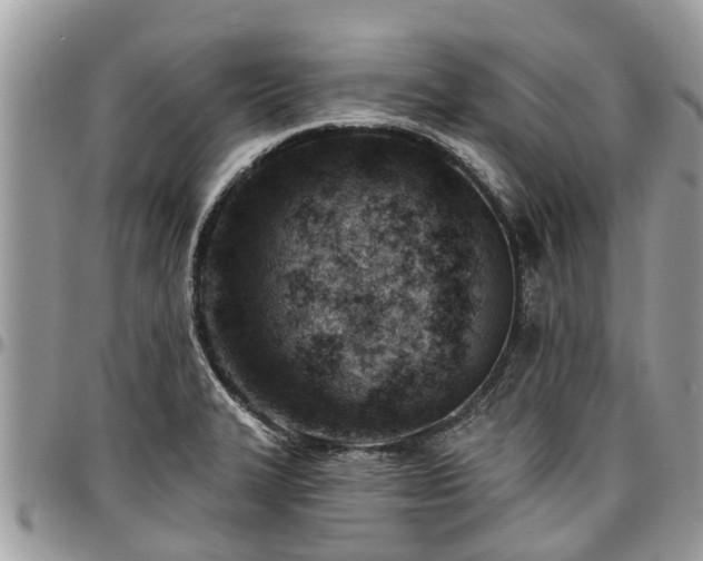 X0000096951327200802151228