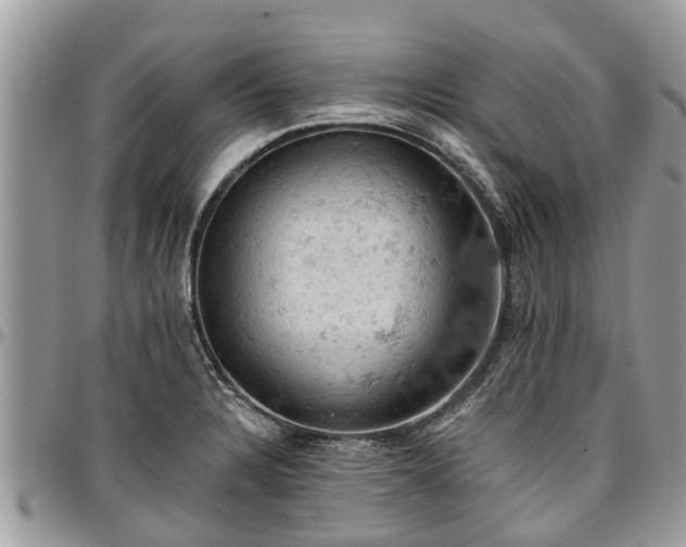 X0000096951328200802151228