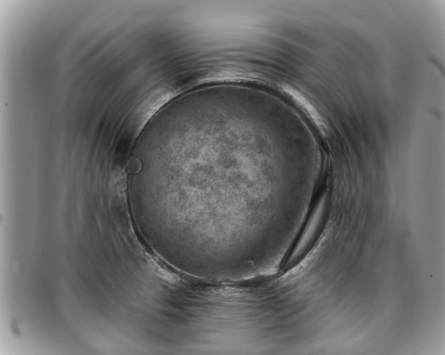 X0000096951329200802151228