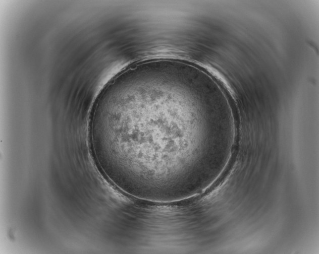 X0000096951333200802151228