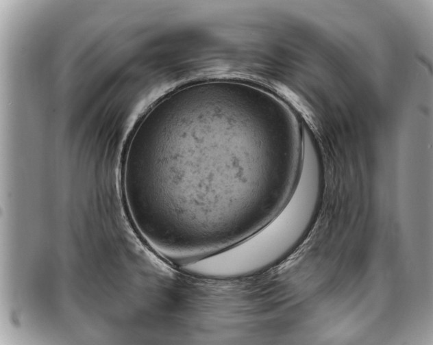 X0000096951334200802151228