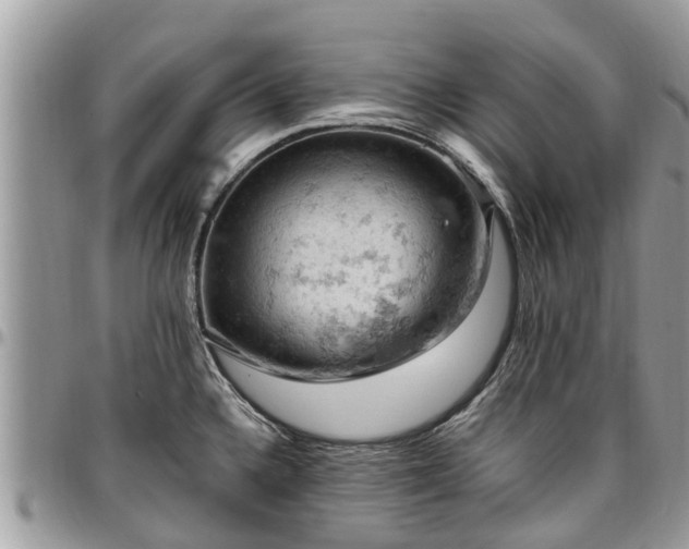 X0000096951336200802151228