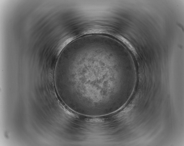 X0000096951337200802151228