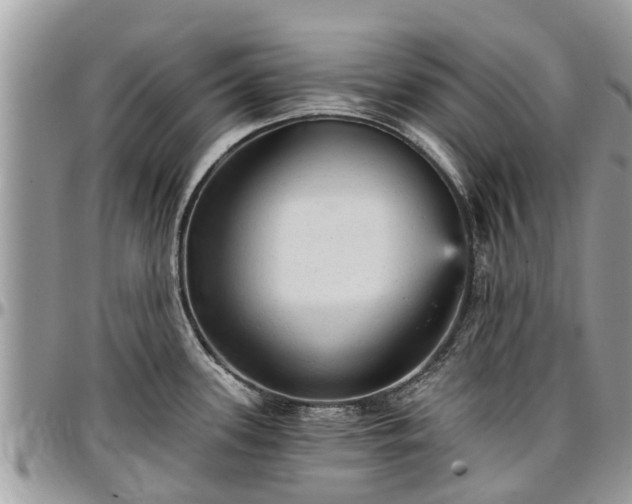 X0000096951339200802151228