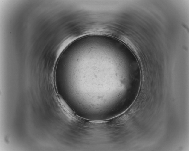 X0000096951344200802151228