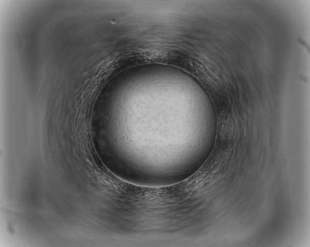 X0000096951345200802151228